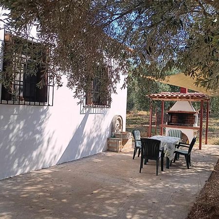The Small House In The Olive Grove Lefokastro Zewnętrze zdjęcie