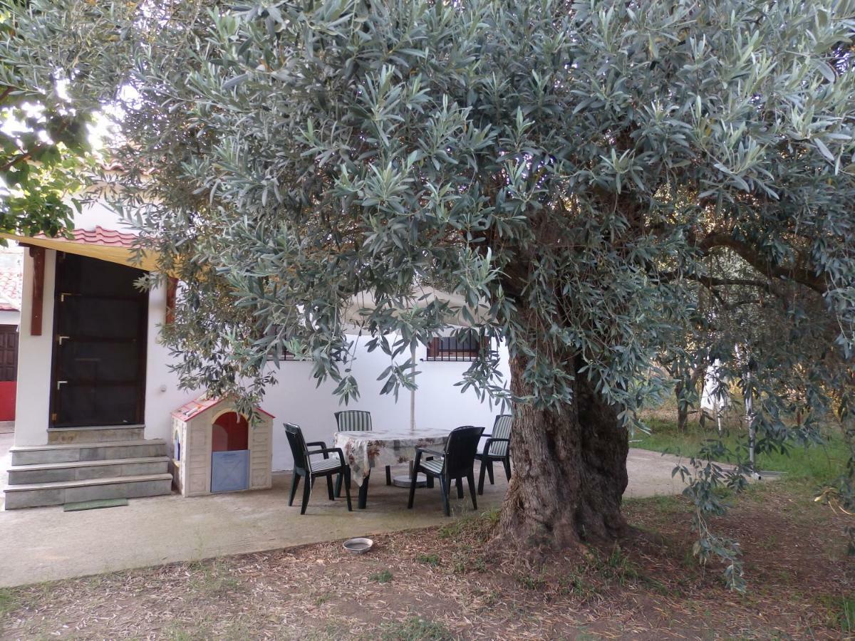 The Small House In The Olive Grove Lefokastro Zewnętrze zdjęcie